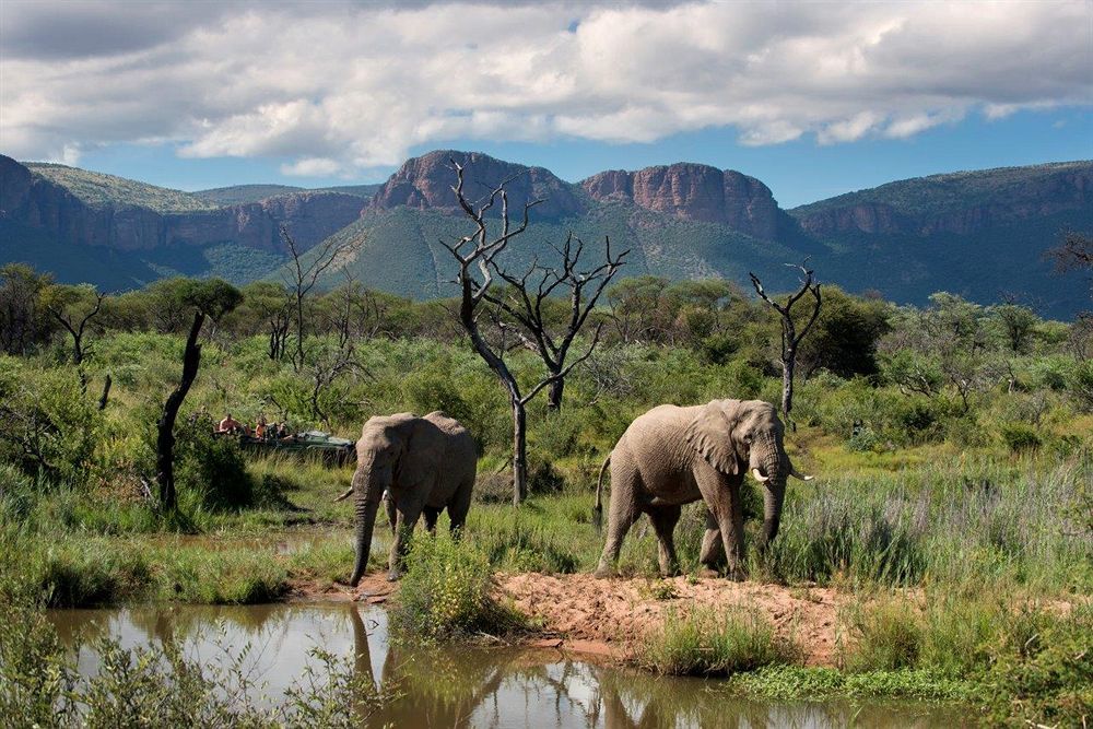 Marataba Safari Lodge Hartbeestfontein Zewnętrze zdjęcie